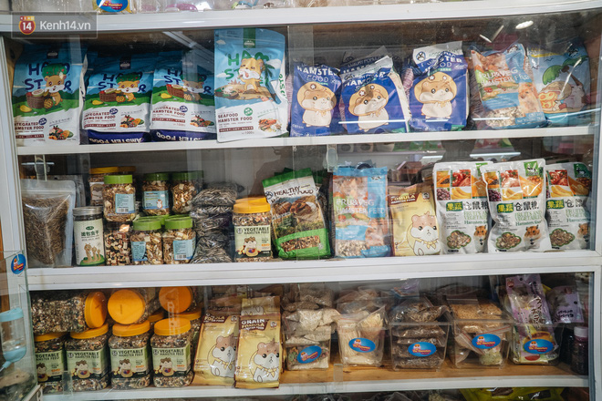 Năm Canh Tý, người trẻ tìm mua chuột hamster để giảm stress và cầu chúc may mắn - Ảnh 2. Năm Canh Tý, người trẻ tìm mua chuột hamster để giảm stress và cầu chúc may mắn - Ảnh 2.