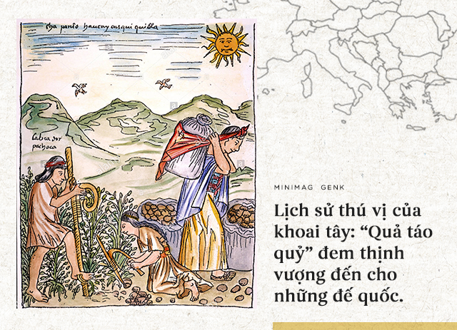 Lịch sử thú vị của khoai tây: “Quả táo quỷ” đem thịnh vượng đến cho những đế quốc - Ảnh 1.