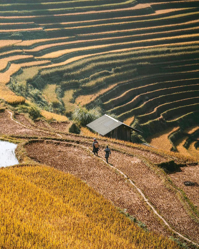  HOT: Ruộng bậc thang Mù Cang Chải vừa được công nhận Di tích Quốc gia đặc biệt, dự sẽ ngày càng hot trên bản đồ du lịch Việt  - Ảnh 17.