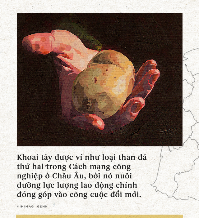 Lịch sử thú vị của khoai tây: “Quả táo quỷ” đem thịnh vượng đến cho những đế quốc - Ảnh 18.