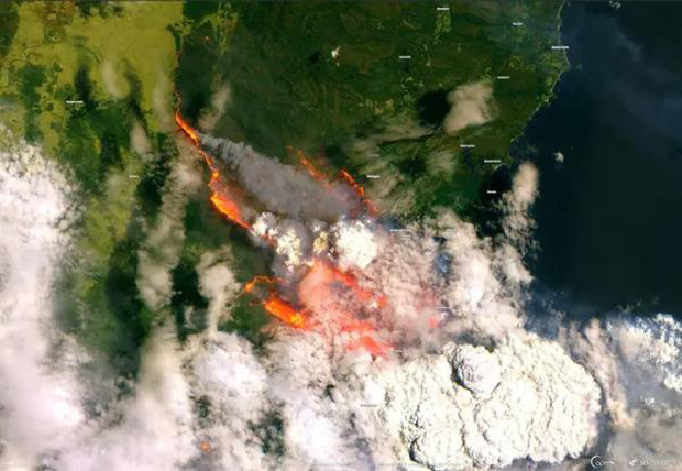Bầu trời Australia chuyển màu đen kịt như mực ngay giữa trưa, thảm hoạ cháy rừng kinh hoàng ngày càng chuyển biến xấu - Ảnh 6.