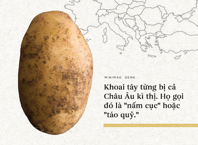 Lịch sử thú vị của khoai tây: “Quả táo quỷ” đem thịnh vượng đến cho những đế quốc - Ảnh 7.
