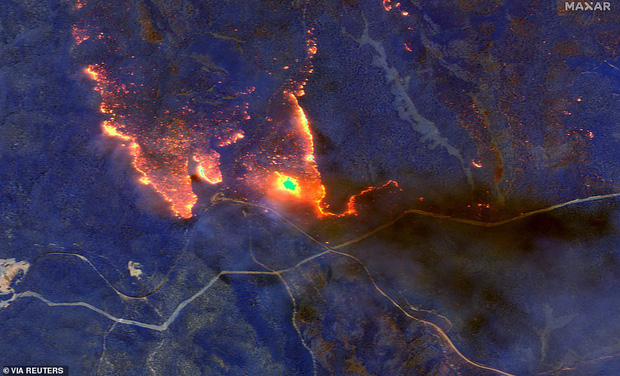 Đại thảm họa cháy rừng Úc nhìn từ không gian: Cả nước như quả cầu lửa, những mảng xanh trù phú bị thay bằng màu khói trắng tang thương - Ảnh 3.