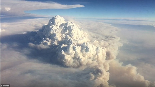 Đại thảm họa cháy rừng Úc nhìn từ không gian: Cả nước như quả cầu lửa, những mảng xanh trù phú bị thay bằng màu khói trắng tang thương - Ảnh 8.