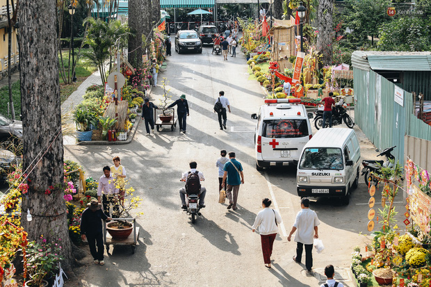 Khi các bác sĩ Sài Gòn chung tay thiết kế đường hoa xuân trong bệnh viện: Đem Tết đến thật gần cho người bệnh ở Chợ Rẫy - Ảnh 1.