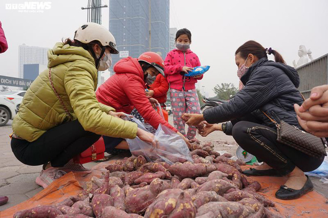  Khoai lang ngổn ngang trên vỉa hè Hà Nội, chờ khách giải cứu  - Ảnh 3.