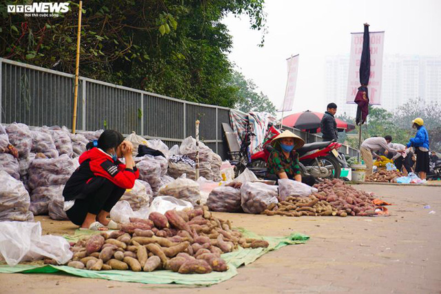  Khoai lang ngổn ngang trên vỉa hè Hà Nội, chờ khách giải cứu  - Ảnh 5.