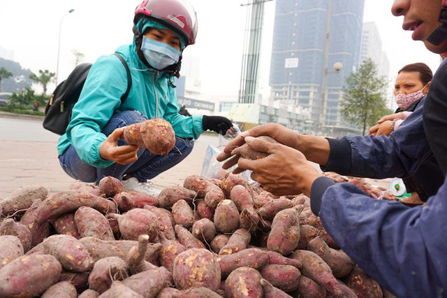  Khoai lang ngổn ngang trên vỉa hè Hà Nội, chờ khách giải cứu  - Ảnh 6.