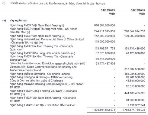  Ngân hàng nào hiện đang là chủ nợ lớn nhất của Novaland?  - Ảnh 1.