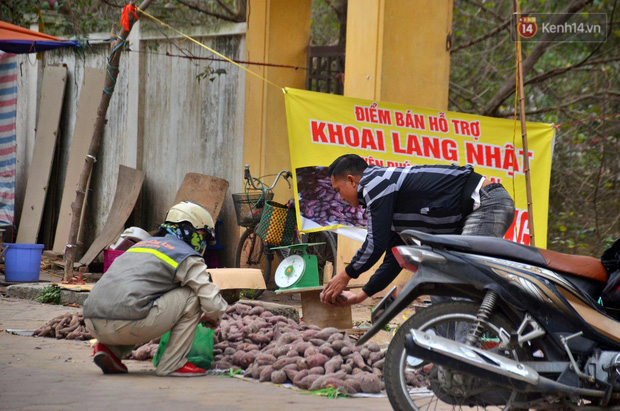 Sự thật sau tấm biển giải cứu khoai lang Gia Lai trên vỉa hè Hà Nội: Người bán thừa nhận lấy hàng từ chợ đầu mối để kiếm lời - Ảnh 3.