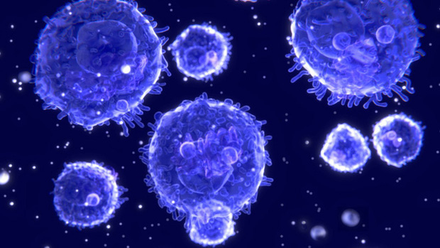 Đi tìm lời giải cho độc tính của virus corona: Khi nào chúng gây chết người, khi nào chỉ gây cúm? - Ảnh 5.