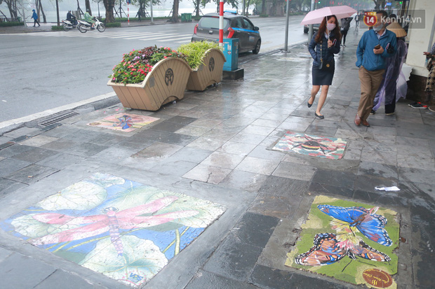 Ảnh: Nắp cống, hố ga “vô tri, vô giác” tại phố đi bộ Hà Nội biến thành tác phẩm nghệ thuật đẹp như tranh vẽ - Ảnh 4.