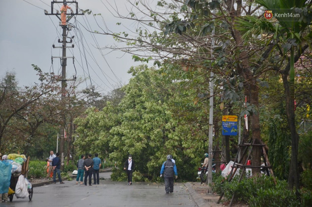 Hà Nội: Nhiều tuyến đường ngập nghiêm trọng, cây xanh đổ la liệt sau cơn mưa như trút nước - Ảnh 15.
