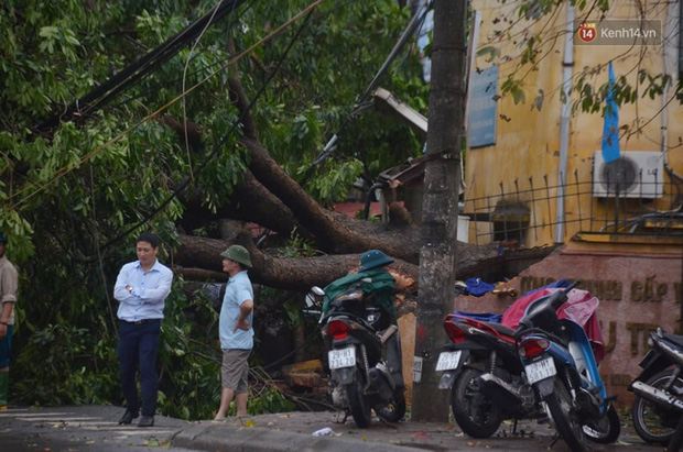 Hà Nội: Nhiều tuyến đường ngập nghiêm trọng, cây xanh đổ la liệt sau cơn mưa như trút nước - Ảnh 12.