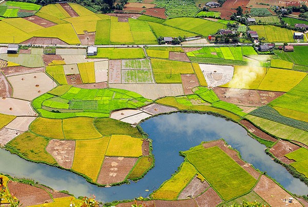 Trang Web này đã ca ngợi cánh đồng lúa thung lũng Bắc Sơn ở Lạng Sơn, Việt Nam giống như một thiên đường màu xanh tuyệt đẹp hiếm có trên trái đất. 