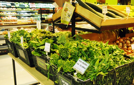 Nhiều người chỉ dám mua rau sạch trong siêu thị, cửa hàng rau an toàn.