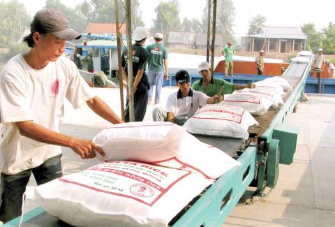 Nếu không thay đổi, việc hạ giá gạo để cạnh tranh cũng không còn là lợi thế với gạo Việt Nam