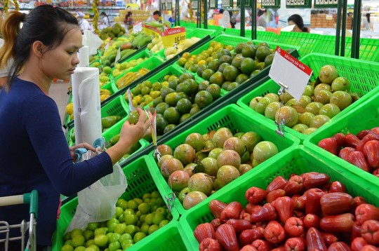 Để có mặt trong siêu thị, trái cây phải đạt chuẩn VietGAP, GlobalGAP và được lựa chọn khá đồng đều về mẫu mã, trọng lượng Ảnh: TẤN THẠNH