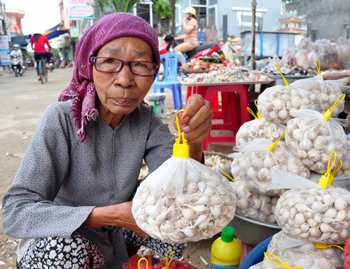 Sau khi phơi khô, người dân cho tỏi cô đơn vào túi lưới để bán cho du khách khi đến tham quan ở huyện đảo Lý Sơn. Ảnh:Trí Tín- Vnexpress.