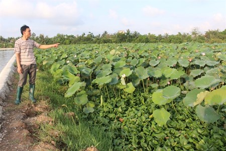 Ong chu trang trai VAC dieu hanh cong viec bang... camera va may tinh