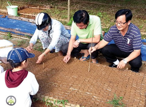 Vườn ươm cây sâm Ngọc Linh được di thực sang huyện Tây Giang, Quảng Nam.