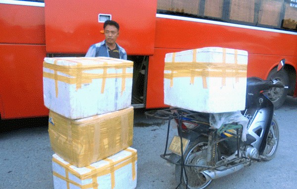 Châu chấu được vận chuyển từ Nghệ An, Thanh Hóa ra ngoài Bắc.