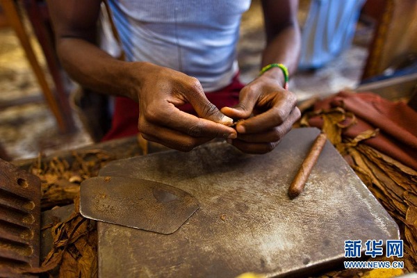 Dụng cụ chế biến nguyên liệu quấn xì gà thô sơ và truyền thống