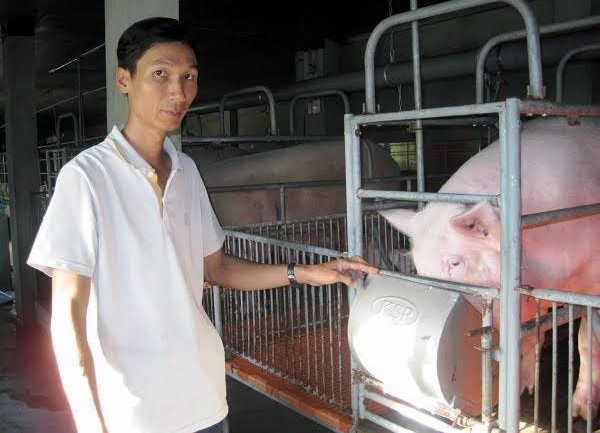 Anh Tuấn mạnh dạn lắp cả hệ thống máy lạnh để nuôi lợn.