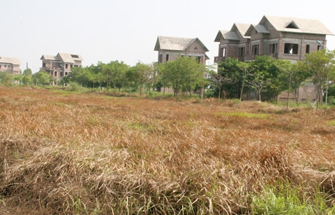 Nhiều khu đô thị ở Mê Linh bỏ hoang không người ở