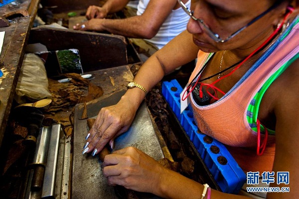 Những nghệ nhân Cuba đang quấn xì gà