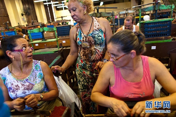 Ở Cuba hiện nay hầu hết những nghệ nhân cuốn xì gà là phụ nữ vì sự khéo léo.