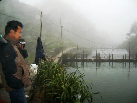 mỗi năm anh Nguyễn Thái Thịnh lãi 1,3 tỷ đồng từ cá hồi. (Ảnh: Dân Việt)
 