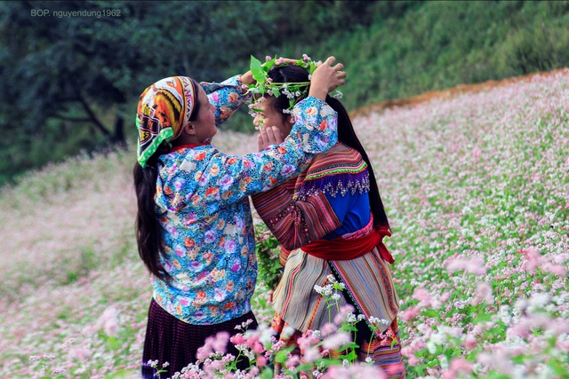 Người chủ ruộng đang nhiệt tình giúp cô bé bận trang phục và trang điểm với hoa