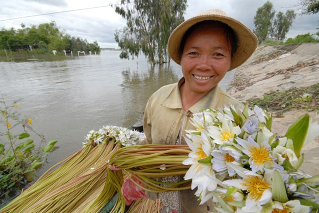 chuột-đồng, chuột-cống, bò-viên, côn-trùng, thịt-chó, đặc-sản, dân-nhậu, Campuchia, nhện-hùm