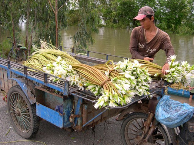 chuột-đồng, chuột-cống, bò-viên, côn-trùng, thịt-chó, đặc-sản, dân-nhậu, Campuchia, nhện-hùm