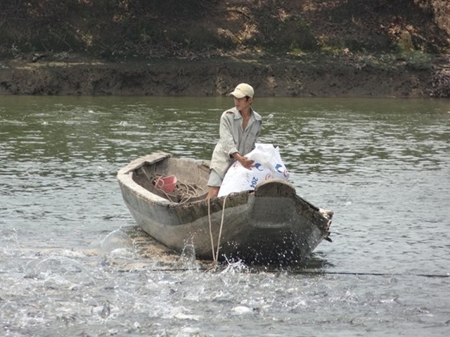 Một ao cá tra của ông Nguyễn Văn Đời... Đọc thêm tại: http://nongnghiep.vn/lam-an-lon-tu-von-vay-nhung-dai-gia-chan-dat-post142661.html | NongNghiep.vn