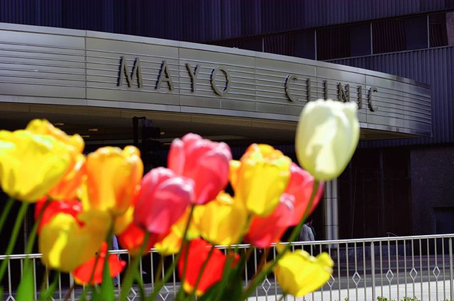 ​Sự nhã nhặn của Mayo Clinic