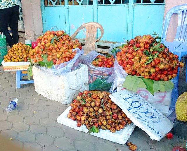 Mặc dù mới đầu mùa nhưng chôm chôm cũng chỉ có giá 10.000 đồng/ 1kg 