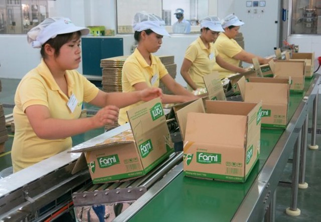 Theo đề xuất của Tổng Liên đoàn lao động Việt Nam, lương tối thiểu sẽ tăng tới 600.000 đồng/ tháng so với năm nay.