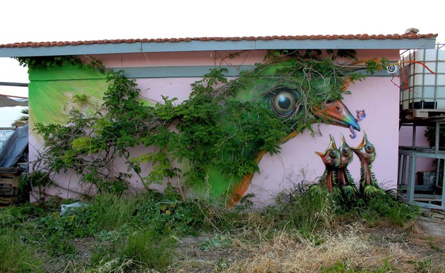 funny-street-art-bird-plants