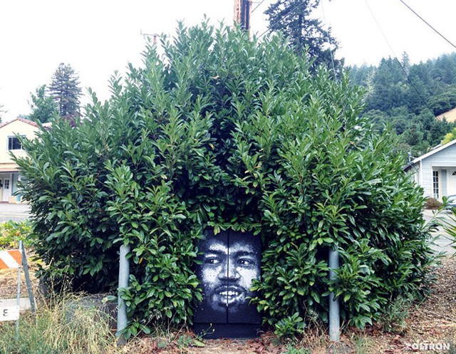 funny-street-art-nature-tree-hair