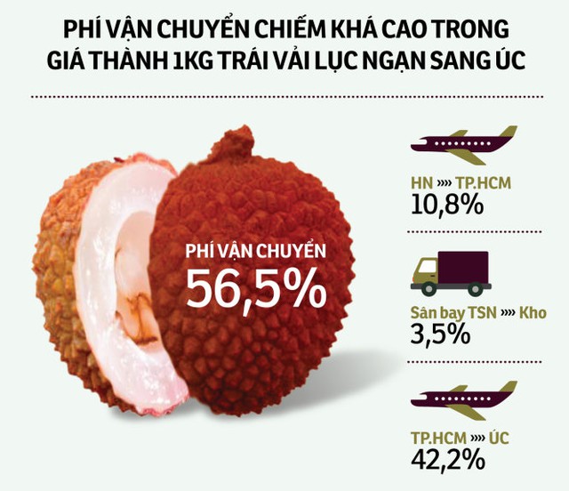 
Phí vận chuyển chiếm khá cao trong giá thành 1kg trái vải Lục Ngạn sang Úc - nguồn tính toán của GS Nguyễn Quốc Vọng - Đồ họa: Tấn Đạt
