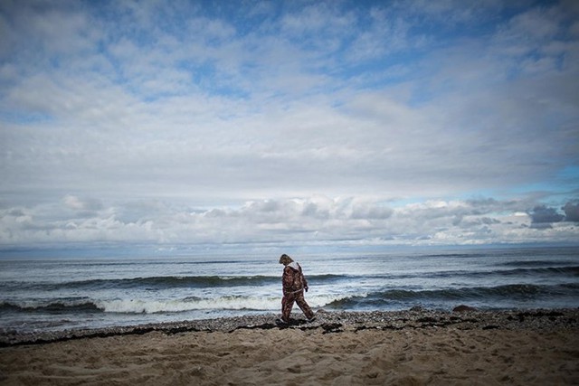 Một phụ nữ tìm hổ phách dạt vào bờ biển Baltic tại Kaliningrad.