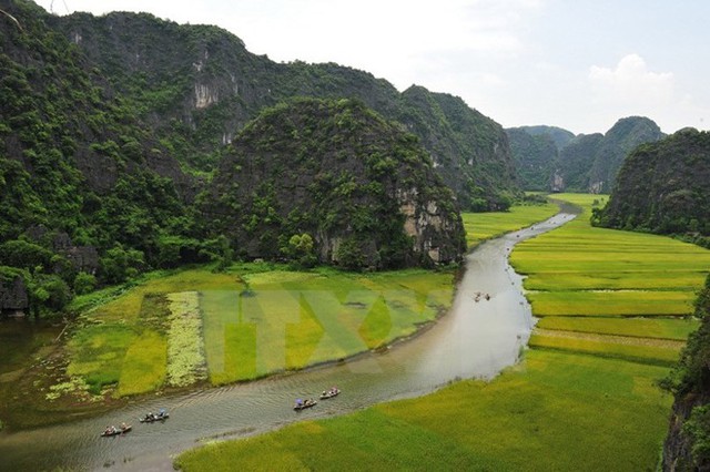 Dòng sông uốn lượn giữa đồng lúa vàng tạo nên phong cảnh hữu tình. (Ảnh: Kim Phương/TTXVN)