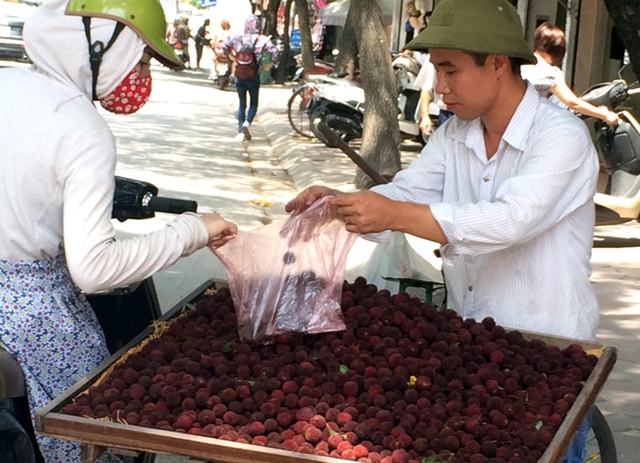 thanh mai, thanh mai rừng, dâu rừng, giải nhiệt, Hà Nội, Quảng Ninh, Lào Cai, ngâm đường, thanh-mai, thanh-mai-rừng, dâu-rừng, giải-nhiệt, mùa-hè, Hà-Nội, Quảng-Ninh, Lào-Cai, ngâm-đường, Trung-Quốc