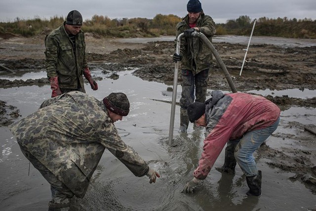 Thợ khai thác “chui” tìm hổ phách gần làng Khabarovo, Kaliningrad.