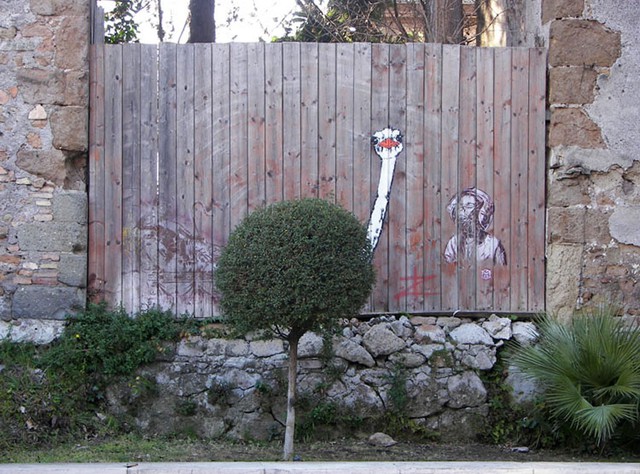 funny-street-art-fence-ostrich