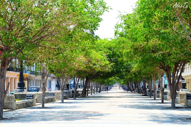 Con đường Paseo Del Prado, nối công viên trung tâm (Central Park) với con đường dọc bờ biển trung tâm Havana (Malécon)