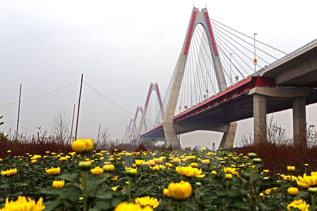 Cầu Nhật Tân bên làng hoa đào 
truyền thống của Thủ đô mà nó mang tên. Cây cầu sẽ có hai tên gọi: cầu 
Nhật Tân và cầu Hữu nghị Việt-Nhật. (Ảnh: Huy Hùng/TTXVN)