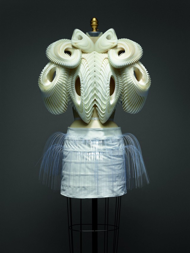 Tác phẩm mang tên Ensemble, bộ váy cũng thiết kế bởi van Herpen nằm trong bộ sưu tập in 3D từ năm 2010.
